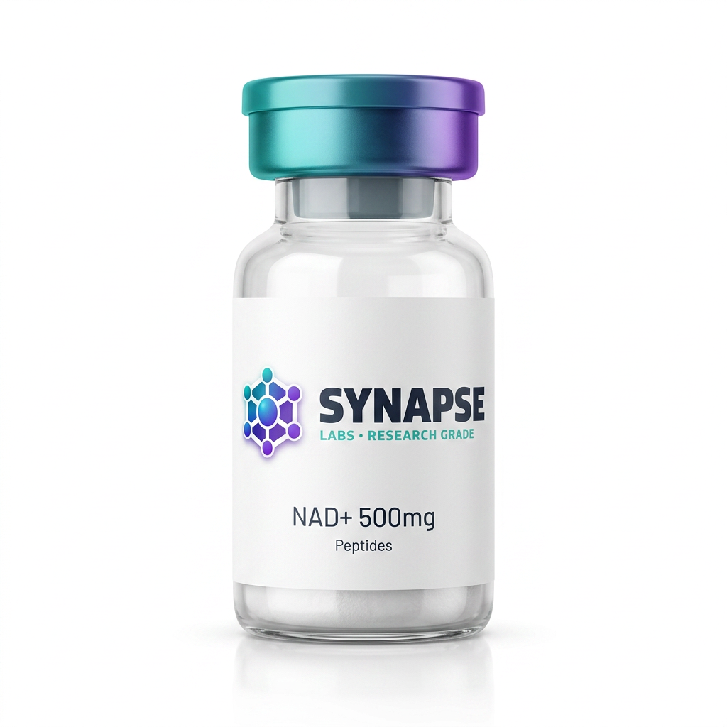 NAD+ 500mg lyophilised vial supplied by Synapse Labs